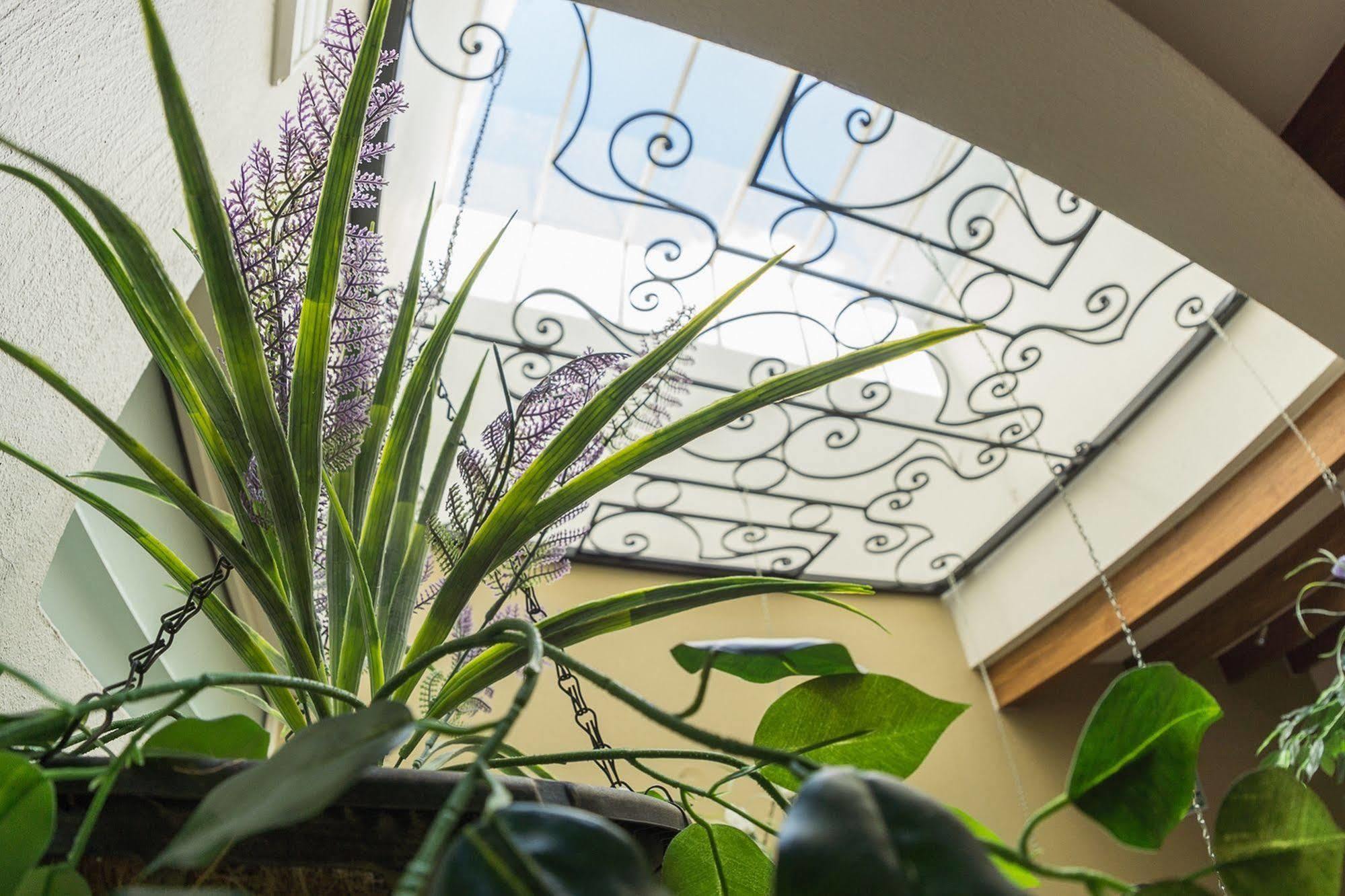 San Pietro Boutique Hotel Tlaquepaque Dış mekan fotoğraf